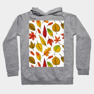 Autumn leaves on white Hoodie